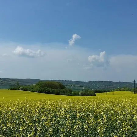 Veranda Vendeghaz